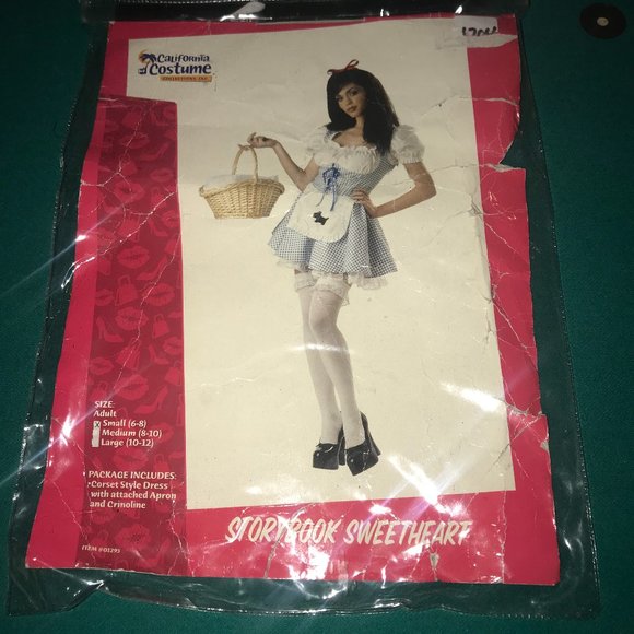 Storybook/Dorthy  Haloween Costume - Picture 1 of 3